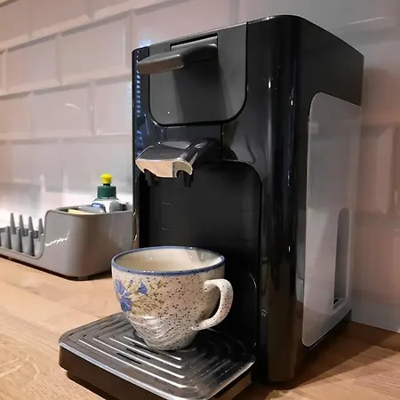 Rajzefiber - Spodek - Mck - Nospr Катовице