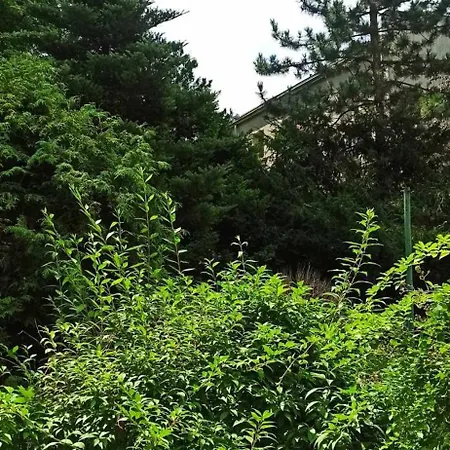 Rajzefiber - Spodek - Mck - Nospr Апартаменты *