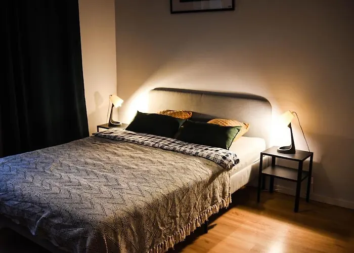 Rajzefiber - Spodek - Mck - Nospr