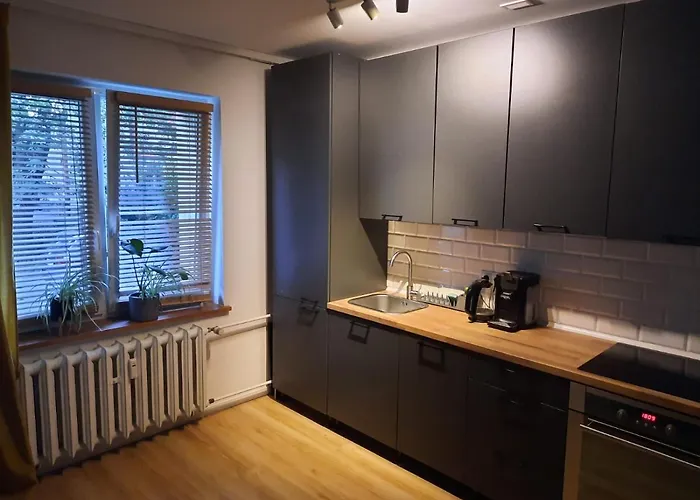 Rajzefiber - Spodek - Mck - Nospr Κατοβίτσε