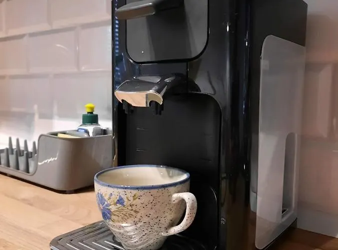 Rajzefiber - Spodek - Mck - Nospr Katowice